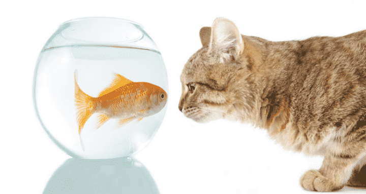 Breaking the Cycle of Defensiveness and Blame