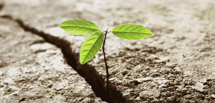Courage, conflict, and how we lose track of what we care about