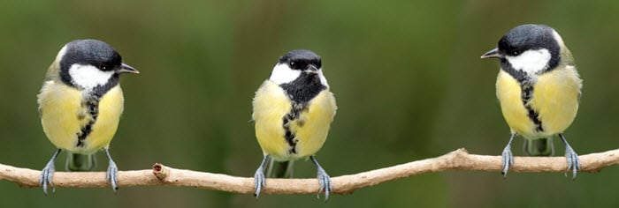 Leadership and fear, part 2: Squeaky voices and lessons learned
