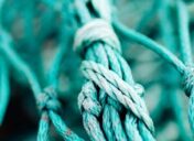 Weaving ourselves together